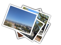 Mendoza album picture