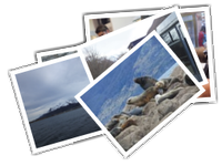 Ushuaia album picture
