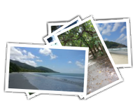 Cairns album picture