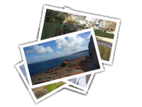 Kangaroo island album picture