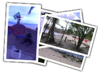 Brasile-2015 album picture
