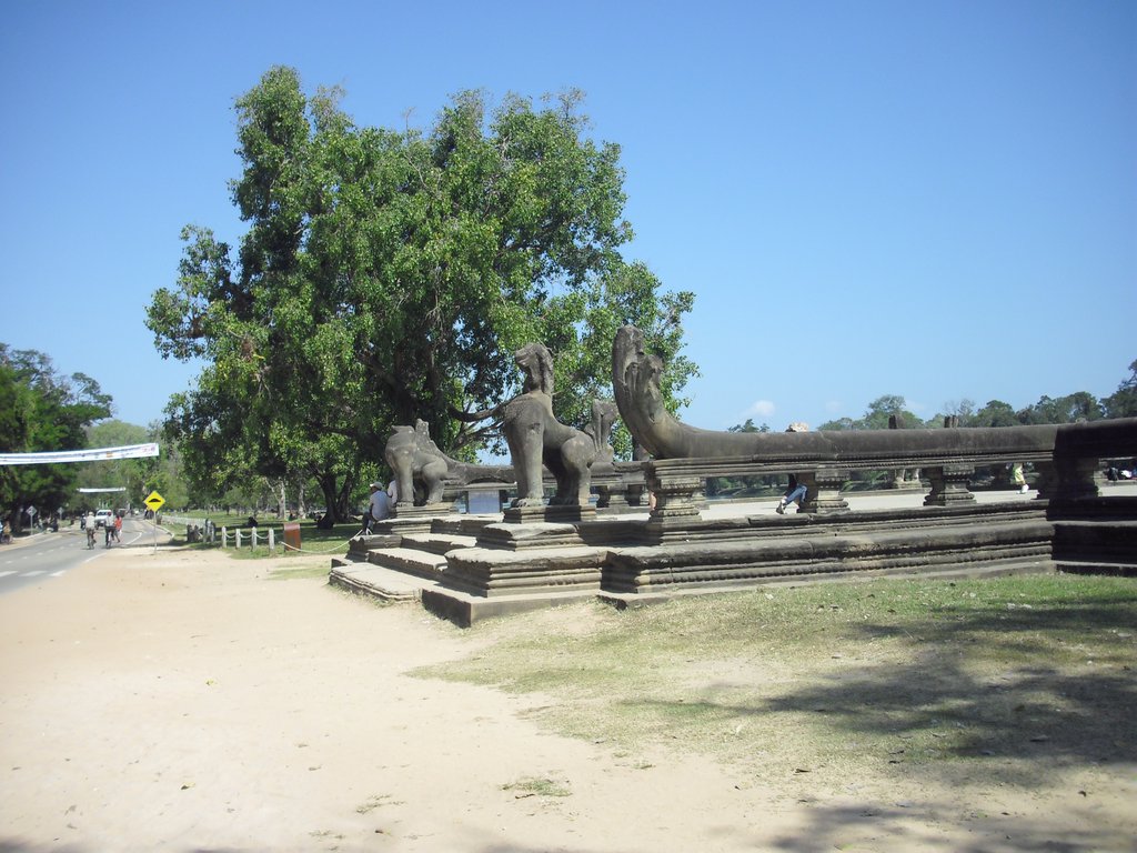 Image CIMG2702.JPG