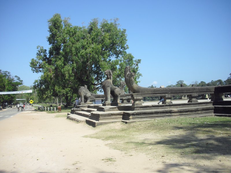 Image CIMG2702.JPG