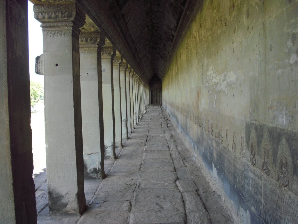 Image CIMG2723.JPG
