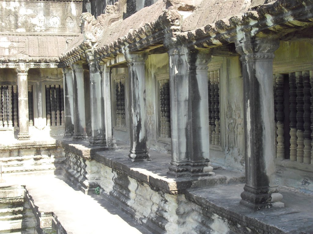 Image CIMG2735.JPG