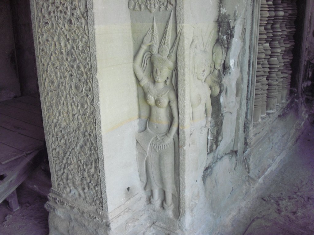 Image CIMG2747.JPG