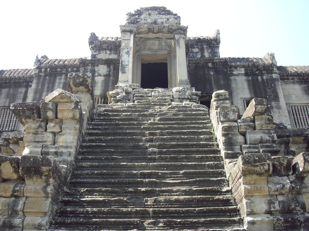 Image CIMG2779.JPG