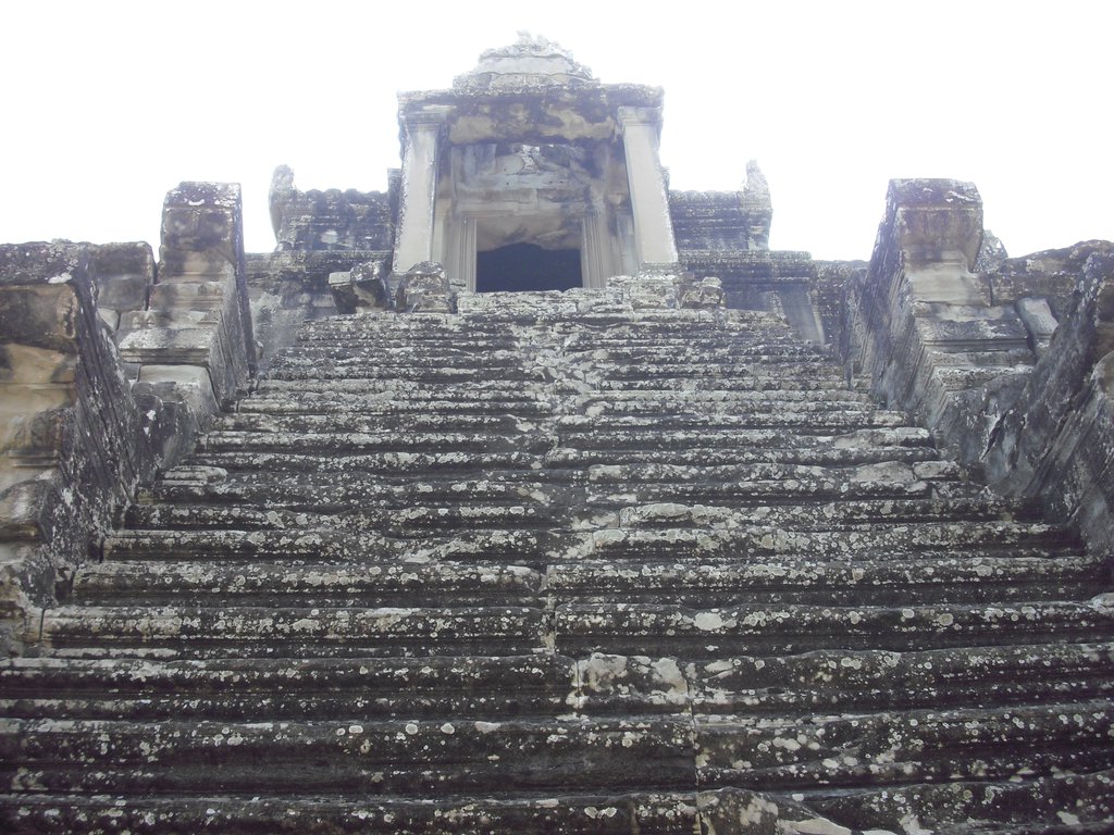 Image CIMG2785.JPG