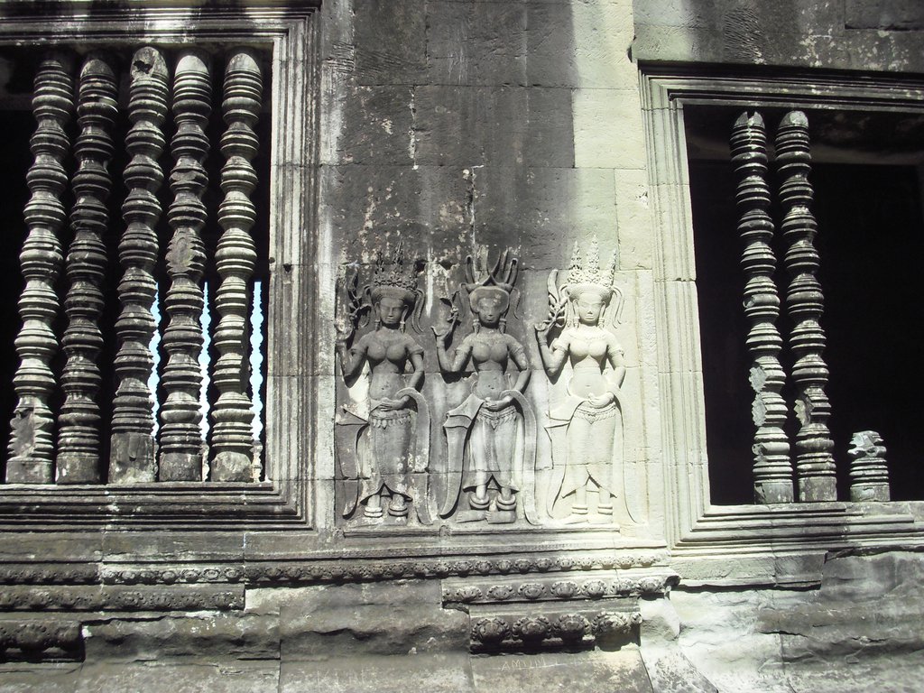 Image CIMG2796.JPG