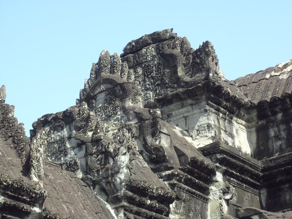 Image CIMG2818.JPG