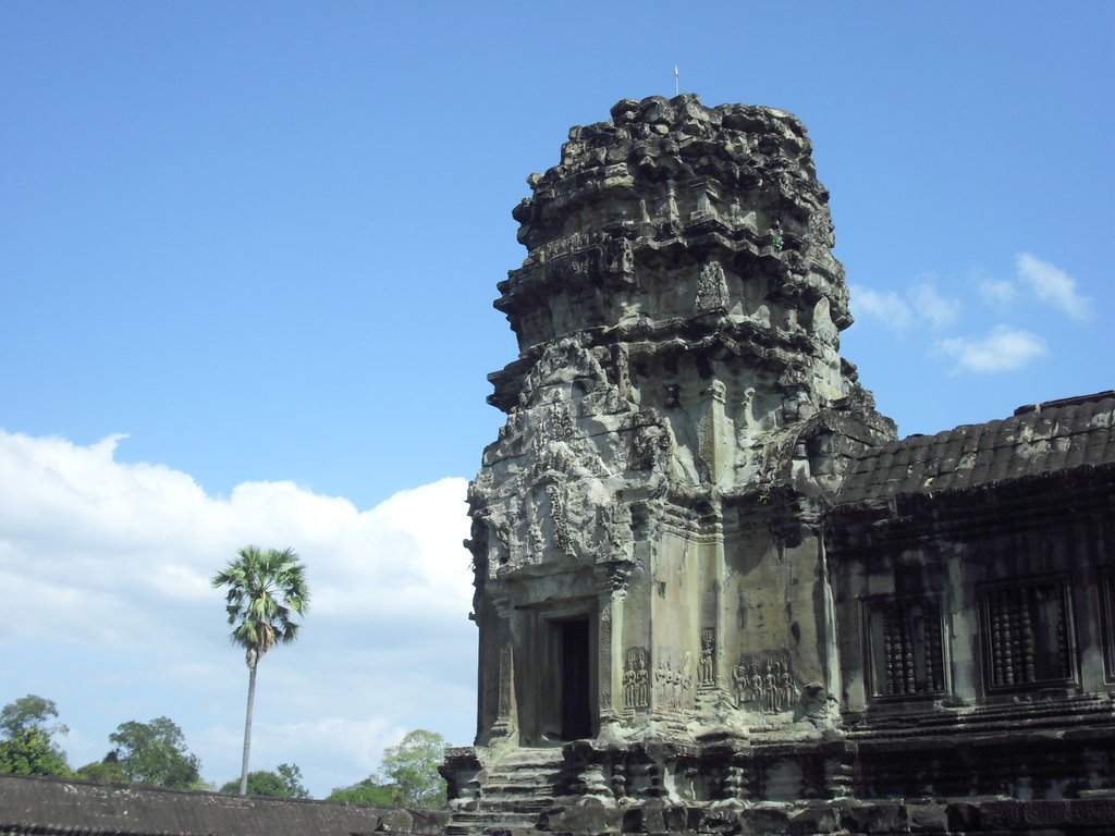 Image CIMG2831.JPG