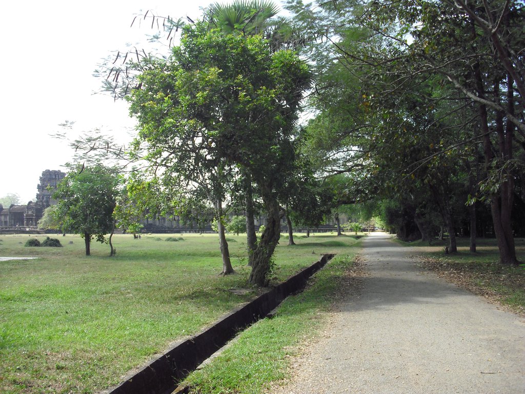 Image CIMG2841.JPG