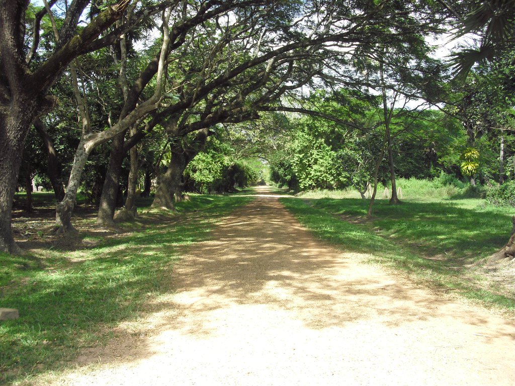 Image CIMG2842.JPG