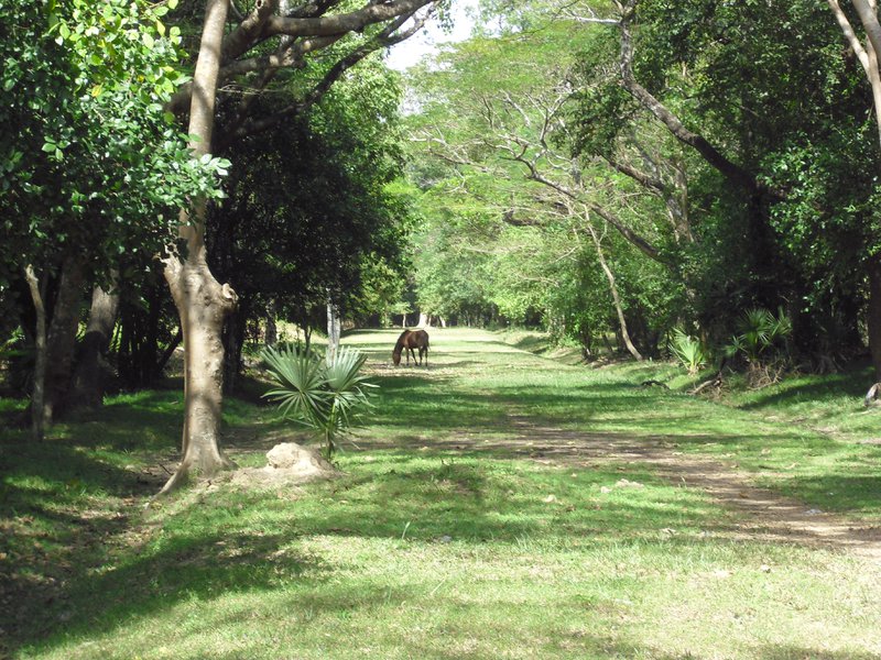 Image CIMG2843.JPG