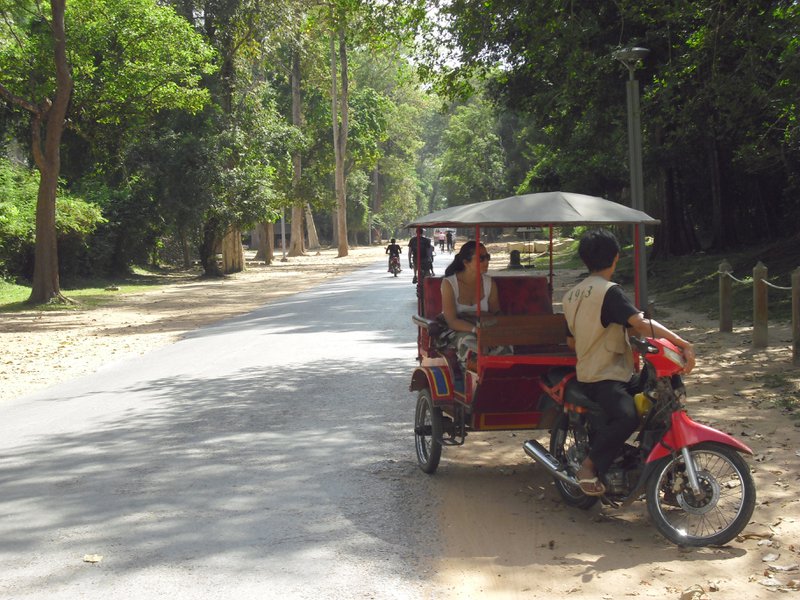 Image CIMG2851.JPG
