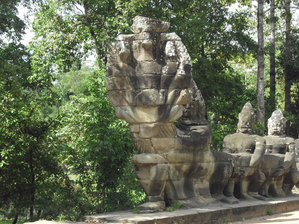 Image CIMG2854.JPG