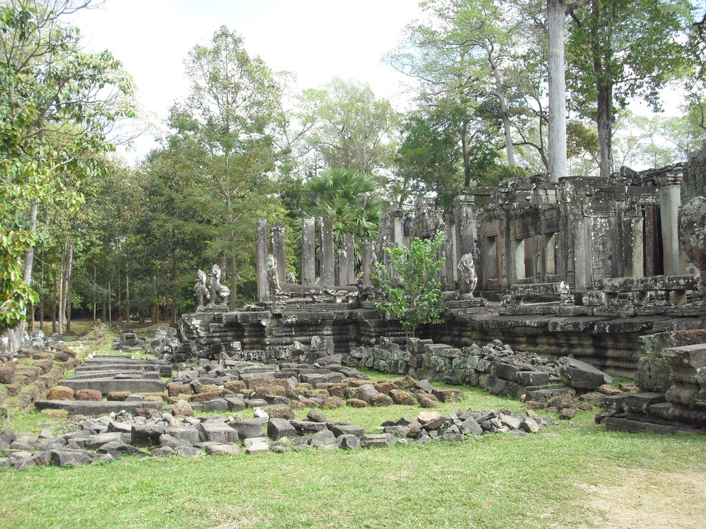 Image CIMG2861.JPG
