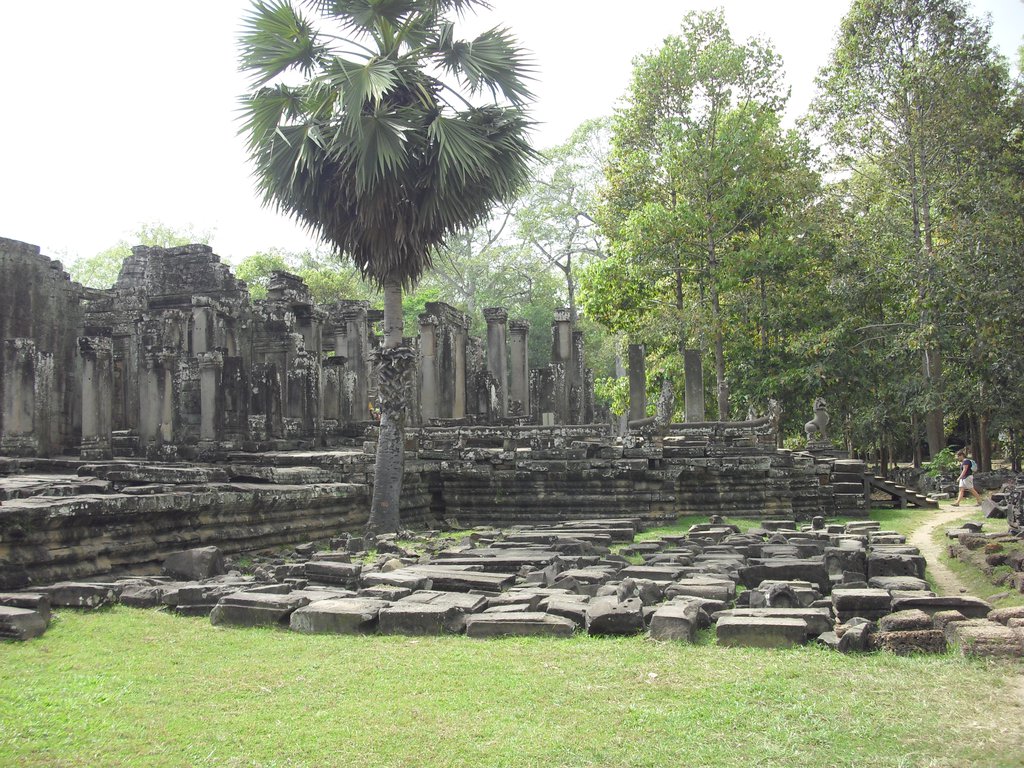 Image CIMG2862.JPG