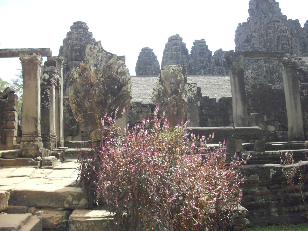 Image CIMG2863.JPG