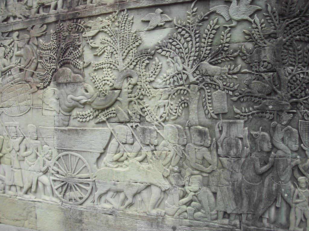 Image CIMG2885.JPG