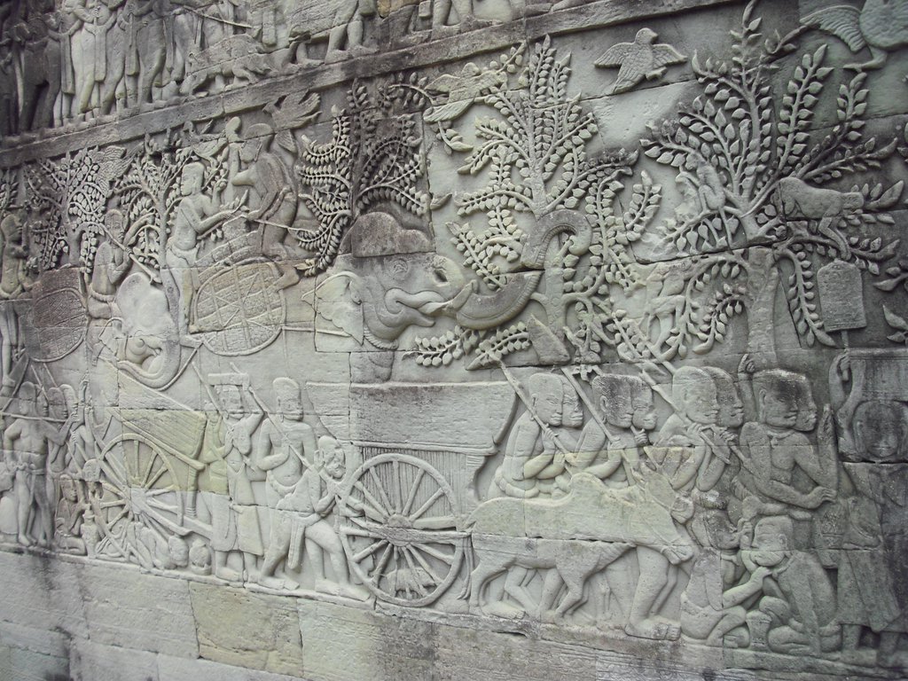 Image CIMG2886.JPG
