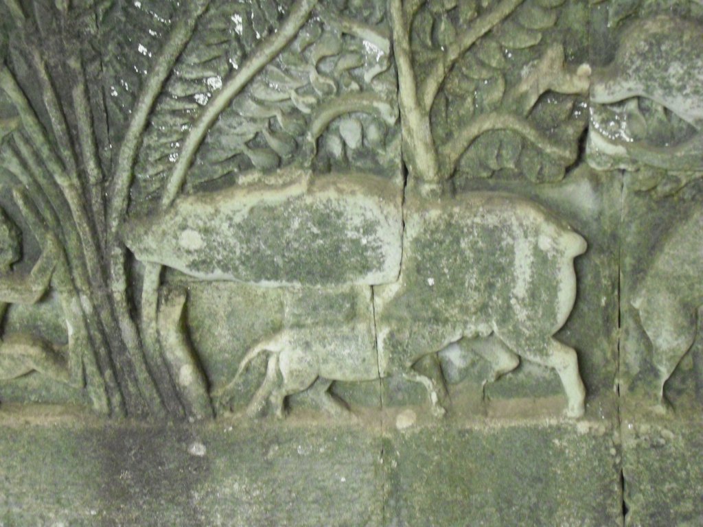 Image CIMG2892.JPG