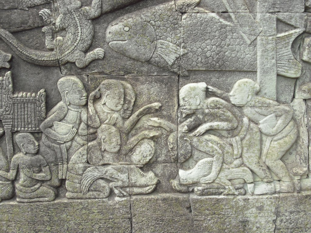 Image CIMG2894.JPG
