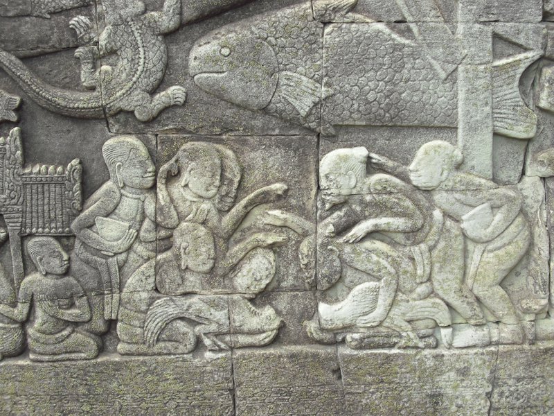 Image CIMG2894.JPG