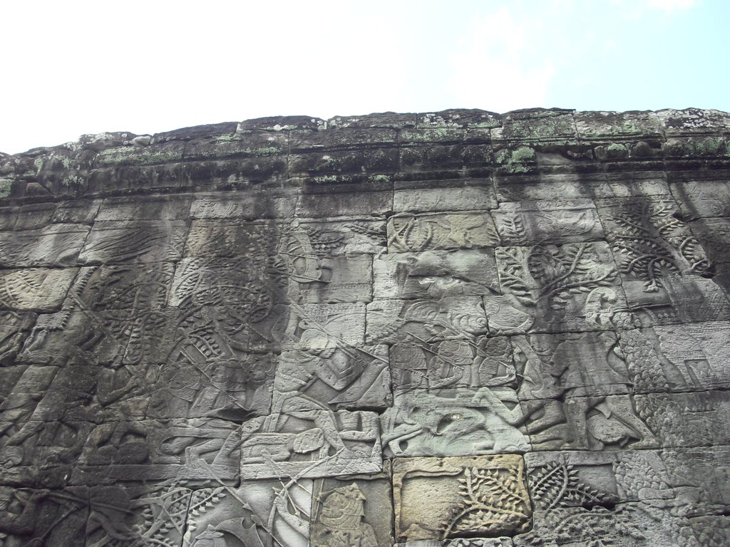 Image CIMG2897.JPG