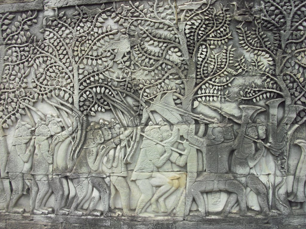 Image CIMG2898.JPG