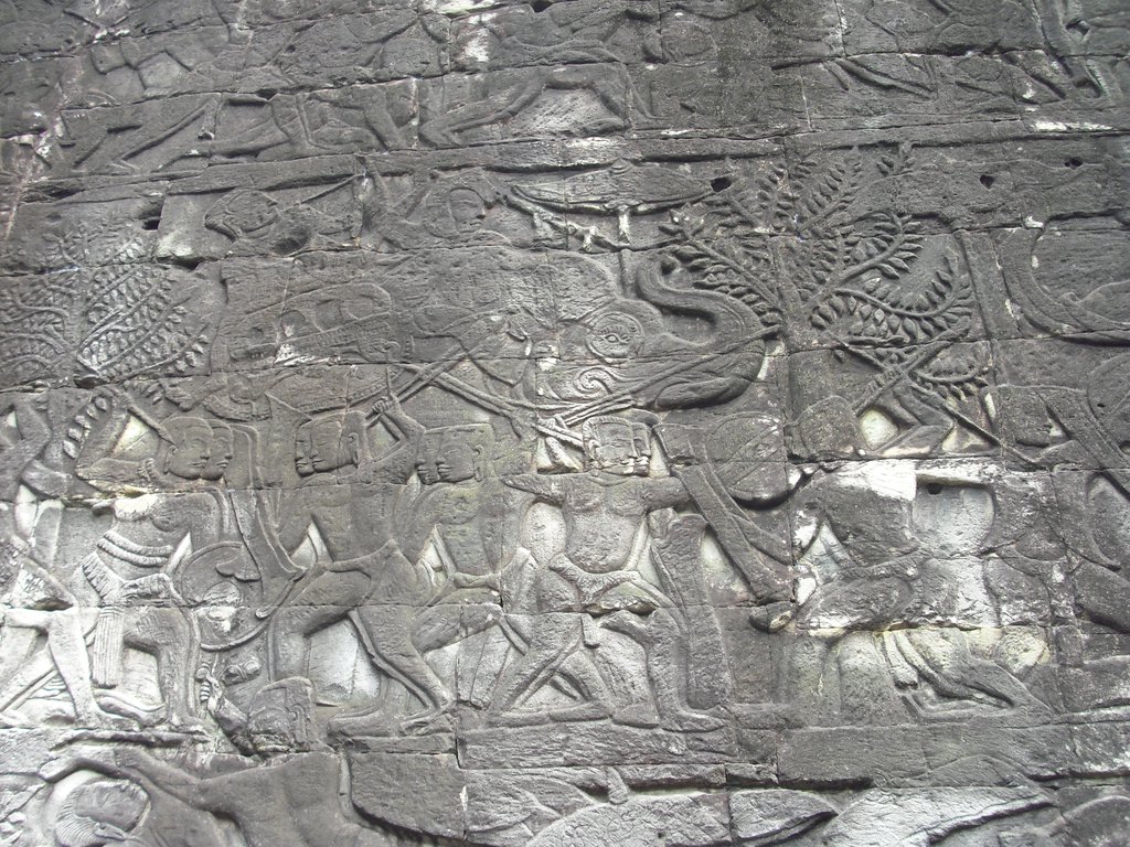 Image CIMG2911.JPG