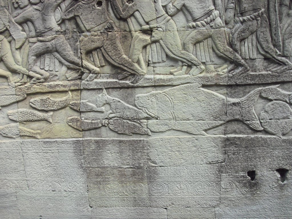 Image CIMG2914.JPG