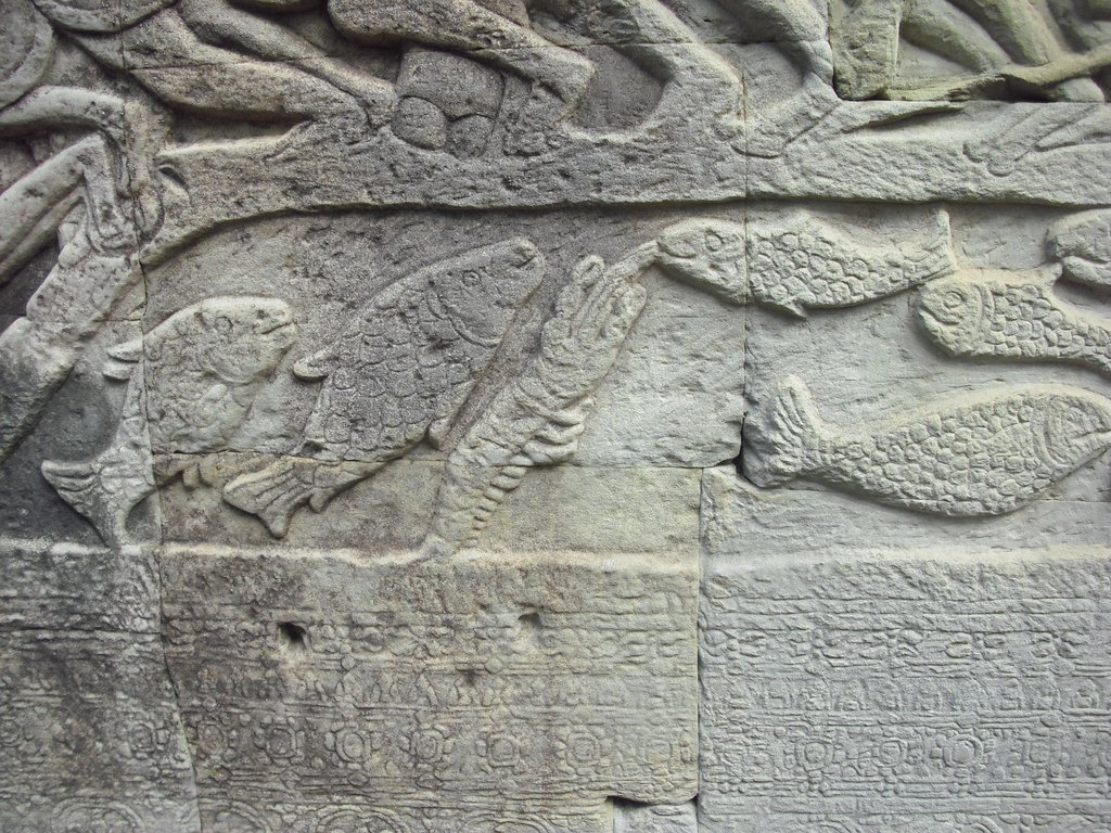 Image CIMG2915.JPG