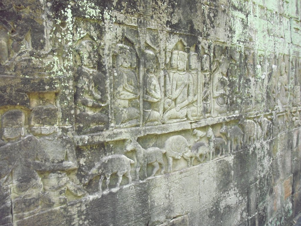 Image CIMG2919.JPG