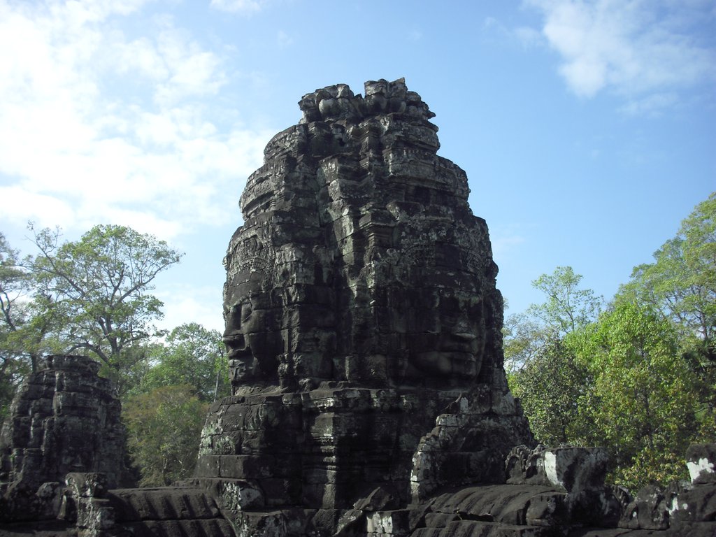 Image CIMG2924.JPG