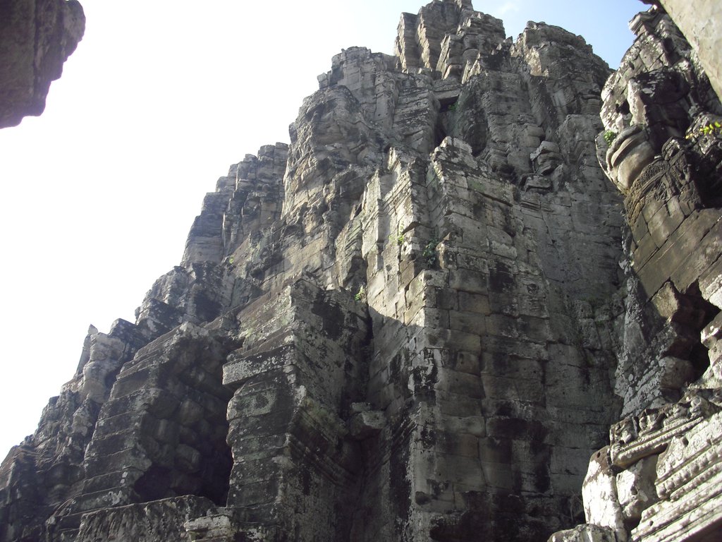 Image CIMG2937.JPG