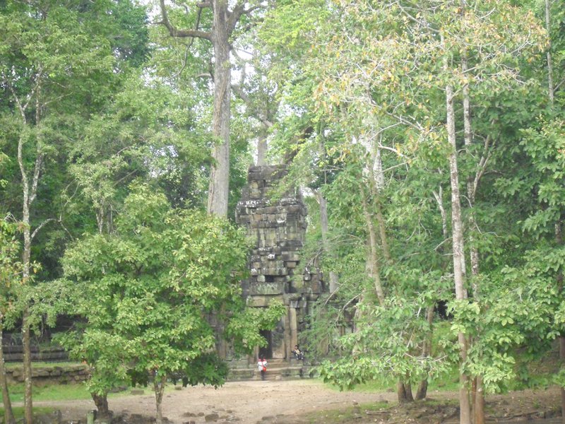 Image CIMG2967.JPG
