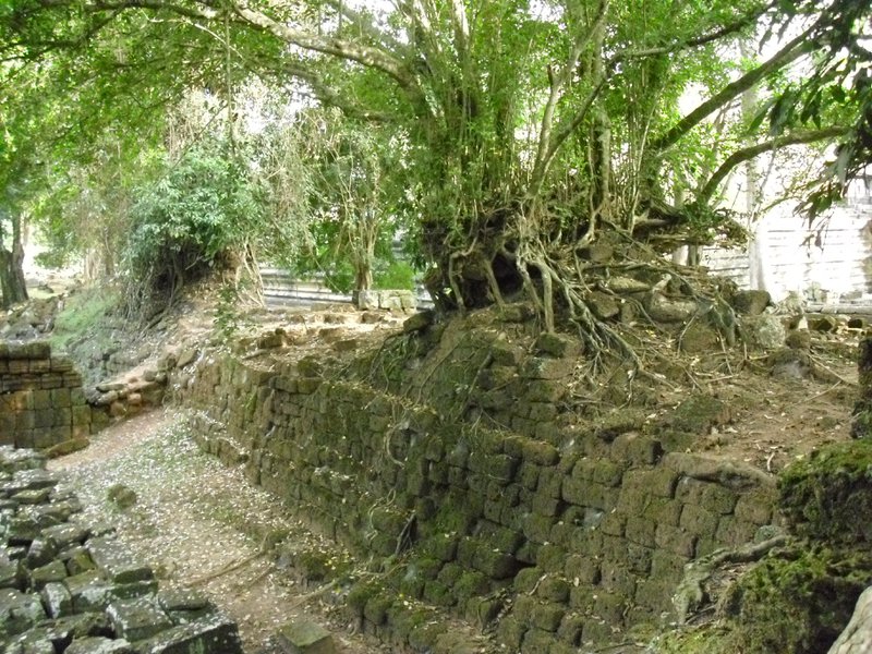 Image CIMG2973.JPG