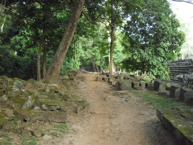 Image CIMG2977.JPG