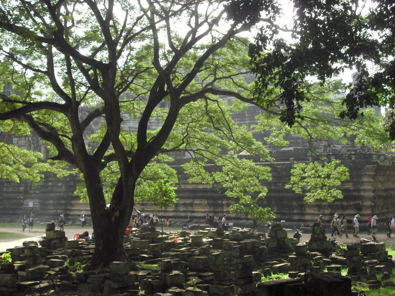 Image CIMG2978.JPG