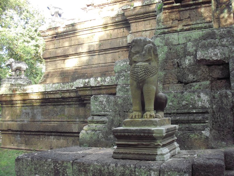 Image CIMG2985.JPG
