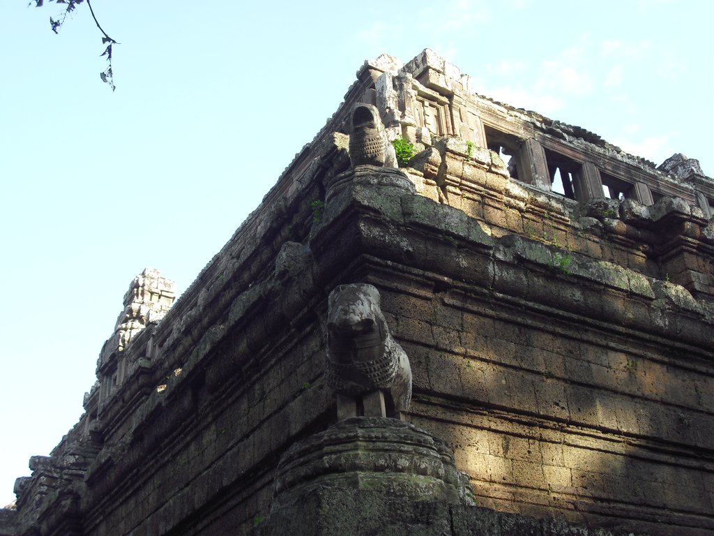 Image CIMG2993.JPG