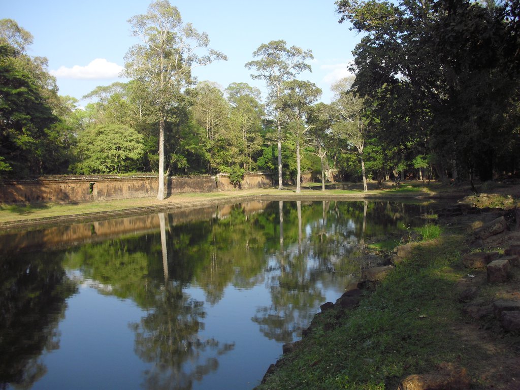 Image CIMG2995.JPG
