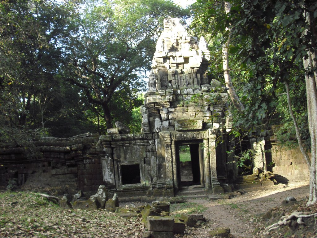 Image CIMG2998.JPG