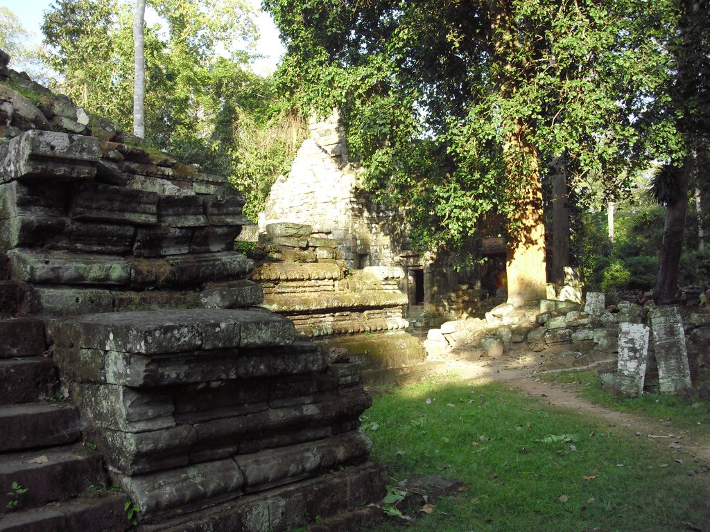 Image CIMG3009.JPG