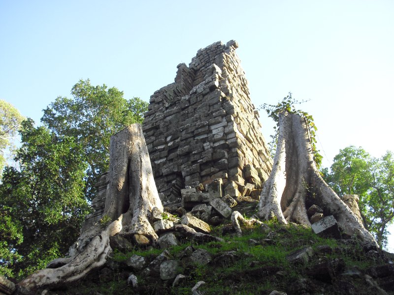 Image CIMG3012.JPG