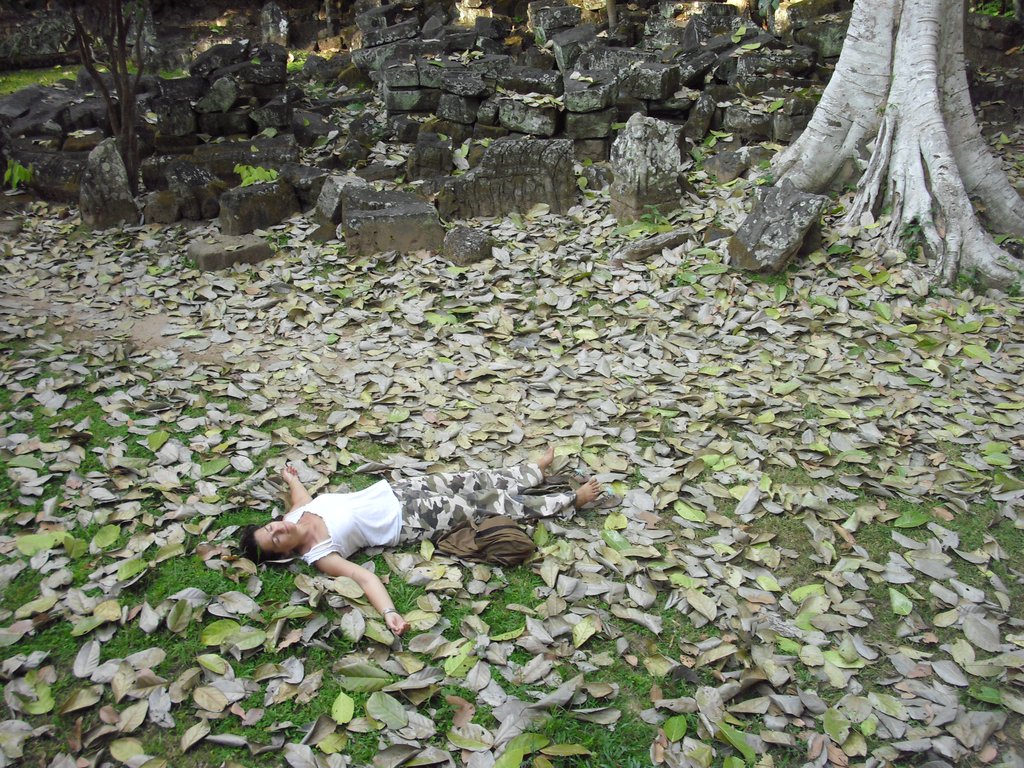 Image CIMG3014.JPG