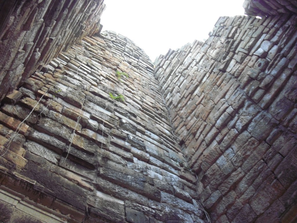 Image CIMG3017.JPG