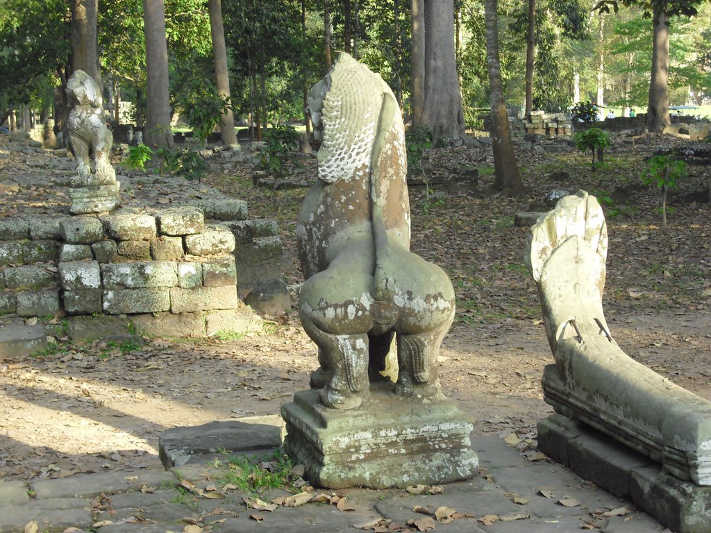 Image CIMG3025.JPG