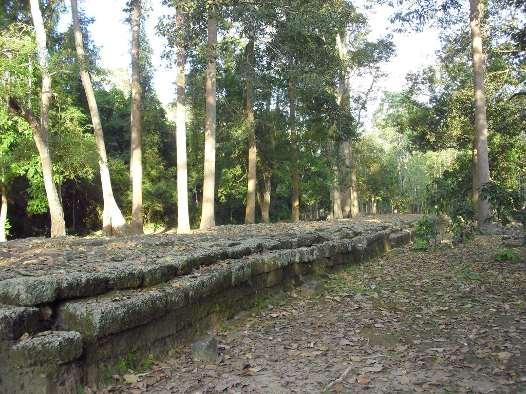Image CIMG3026.JPG